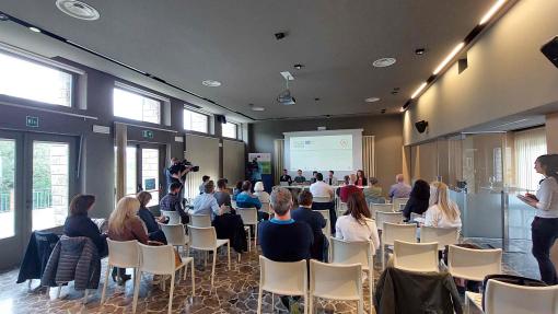 Konferenca na meji