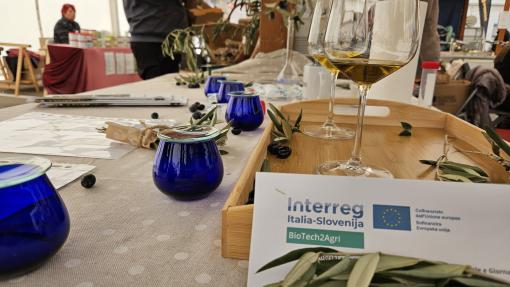Table set for olive oil tasting with blue tasting glasses, a wine glass containing golden olive oil, olive branches, and a brochure for Interreg Italia-Slovenija BioTech2Agri.