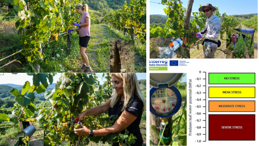 Irrigavit prove slovene