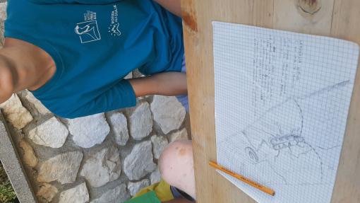I ragazzi hanno preso appunti e disegnato l’insetto sui loro block notes, dimostrando la loro attenzione e l’interesse per il tema.