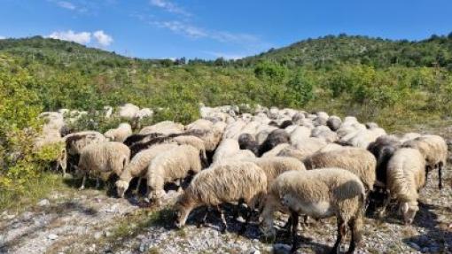 Ogled dobrih kmetijskih praks na italijanskem Krasu