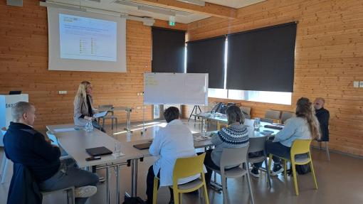 SeaInsights - focus groups 1