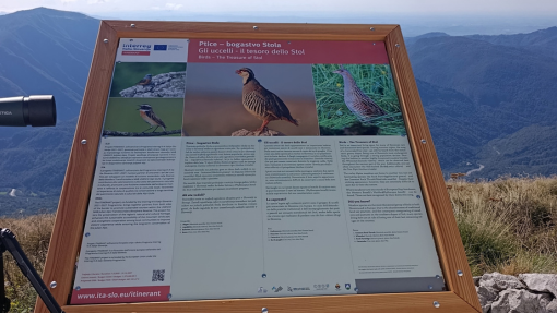 A new information panel explaining the birdlife of the area