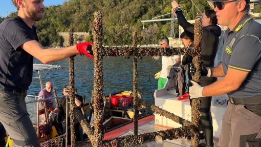 RIPULIAMO I FONDALI MARINI CON ... POSEIDONE!