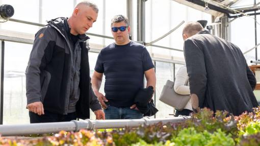 Na fotografiji so trije moški v rastlinjaku, kjer si ogledujejo in preverjajo rastline v akvaponskem sistemu. V ospredju so vidne solate, v ozadju pa konstrukcija rastlinjaka in tehnična oprema.