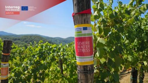 AGROTUR+ Summer school (Water stress)