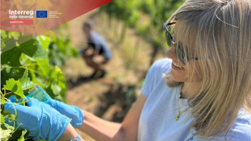 AGROTUR+ workshop on pesticide spraying in vineyards