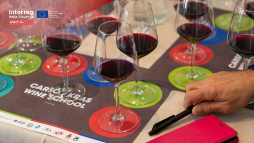 AGROTUR+ Autumn wine school