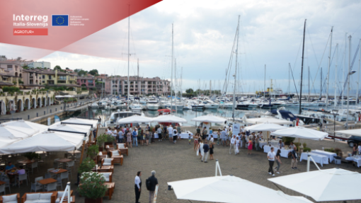 AGROTUR + on the Malvasia in the port Festival