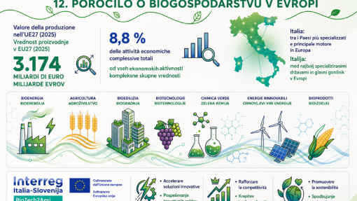 Infographic regarding 12th Bioeconomy report by EU