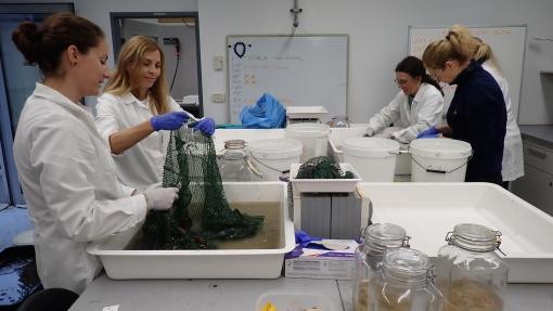 Slovenian researchers at work