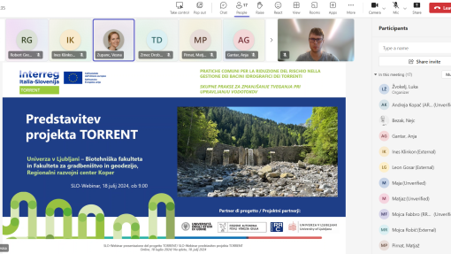torrent