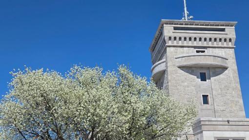 Ureditev pomnika miru na Cerju 