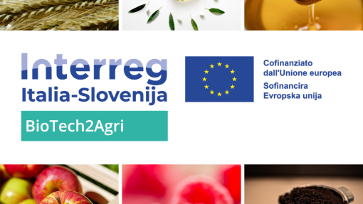 Collage showing various agricultural and food products—including flour and wheat, olive oil with leaves, honey, apples, raspberries, and coffee grounds—surrounding the Interreg Italia–Slovenija BioTech2Agri project logo and the EU co‑funding emblem