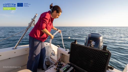Progetto SeaInsights