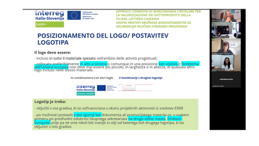 Foto: spletno srečanje projektnih partnerjev projekta DAIRY+