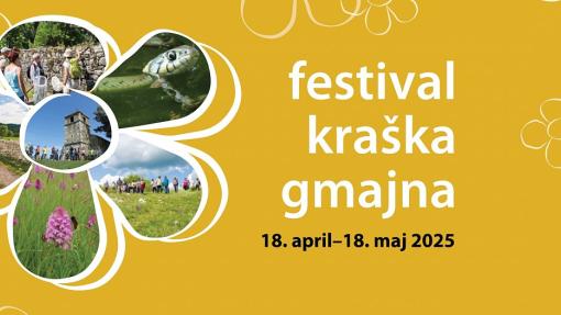 Festival