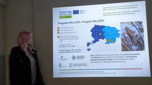 In occasione della Giornata Mondiale dell'Acqua, il 22 marzo 2026, in collaborazione con la Società di Pesca Bistrica, partner associato del progetto PALLIPES, abbiamo organizzato un'azione di pulizia delle rive fluviali e delle aree circostanti il fiume Reka