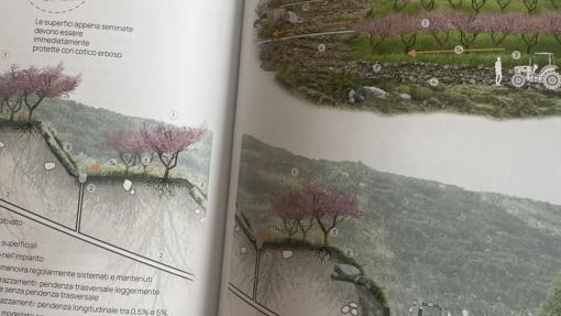 Pubblicazione: “Proteggiamo la terra dove nasce il futuro”