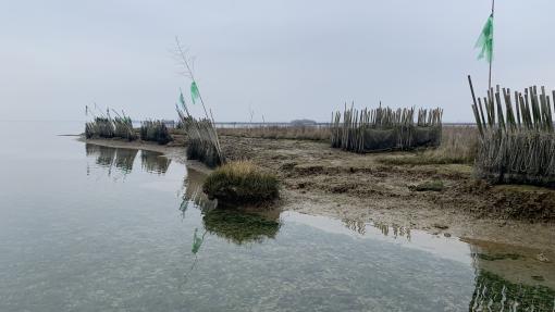 siti pilota di BioTiles