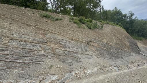 Linee guida pronte per migliorare la legislazione in materia agraria e pianificazione territoriale