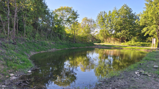 pond version 2