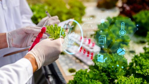 Researchers wearing lab gloves examine a lettuce plant in a greenhouse, with digital icons showing environmental and plant data overlaid on the image.