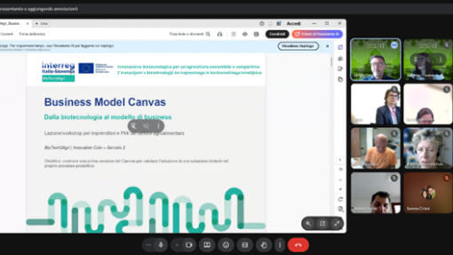 Screenshot of an online workshop session on the BioTech2Agri project, showing a presentation slide titled "Business Model Canvas – Dalla biotecnologia al modello di business" alongside a video call grid with participants attending remotely.
