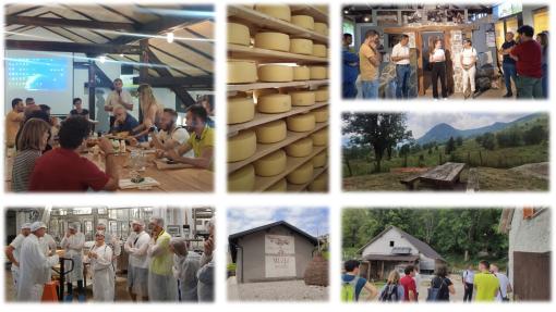 DAIRY+_Awareness raising event_24.06.25