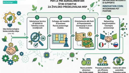 Infographic concerning the 4 services offered to agrifood SMEs