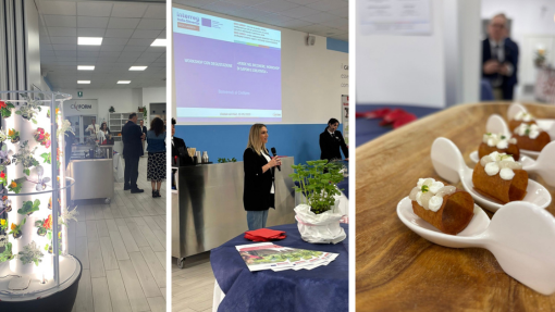 Workshop Civiform 15.05.2025