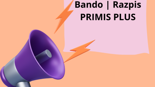 Bando / Razpis / Call