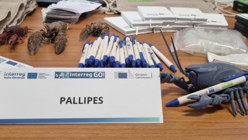 Stand PALLIPES all'Interreg GO