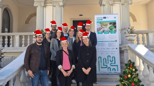 Project team partners group photo with holiday decorations