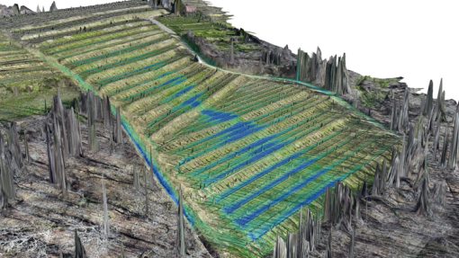 Quando l’acqua disegna percorsi tra i vigneti: la scienza nella lotta contro l’erosione
