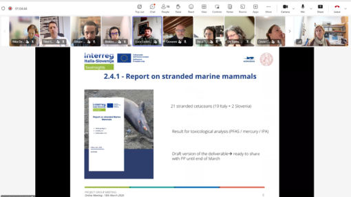 6 projektni sestanek