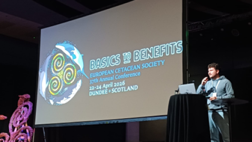 SeaInsights ECS