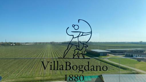 Villa Bogdano, Lison