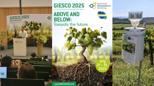 GIESCO 2025
