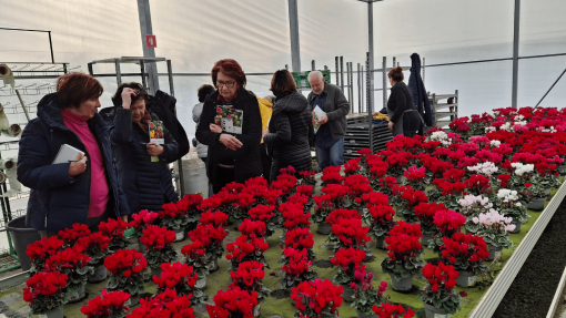 thematic workshop MEDS GARDEN+