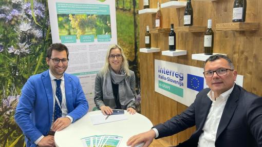 Ai_Grape_at_Vinitaly