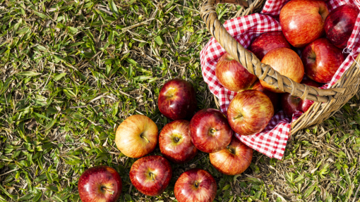 basket with red apples 
