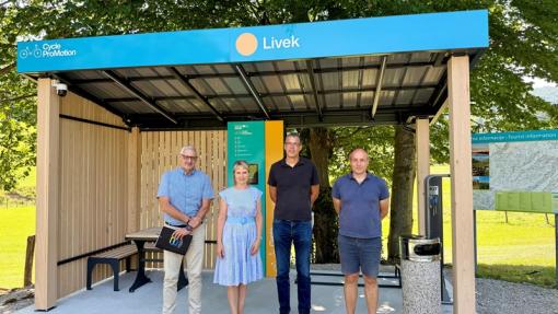 Livek Smart Station
