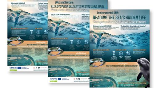 SeaInsights