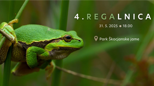 regalnica 2025