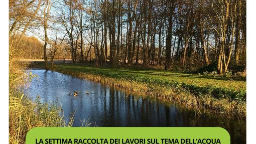 settima
