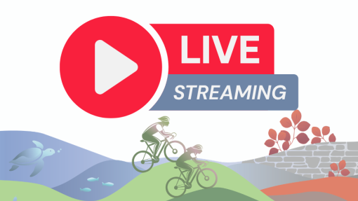streaming evento
