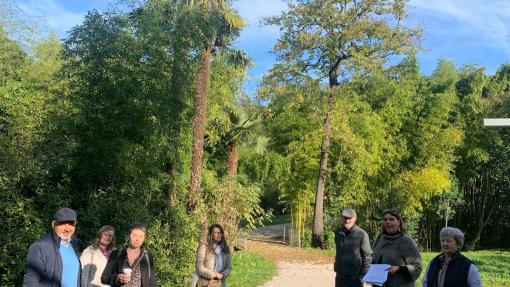 Rafut park