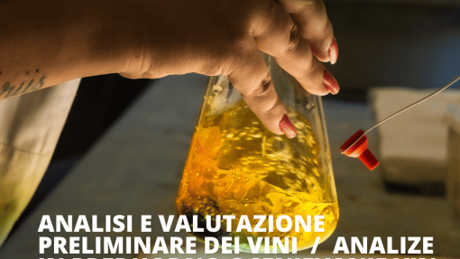 Analyses and Preliminary evaluations of IRRIGAVIT wines