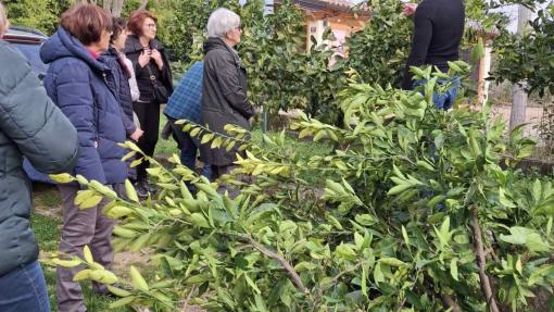 Practical Workshops in the Mediterranean Garden Purissima